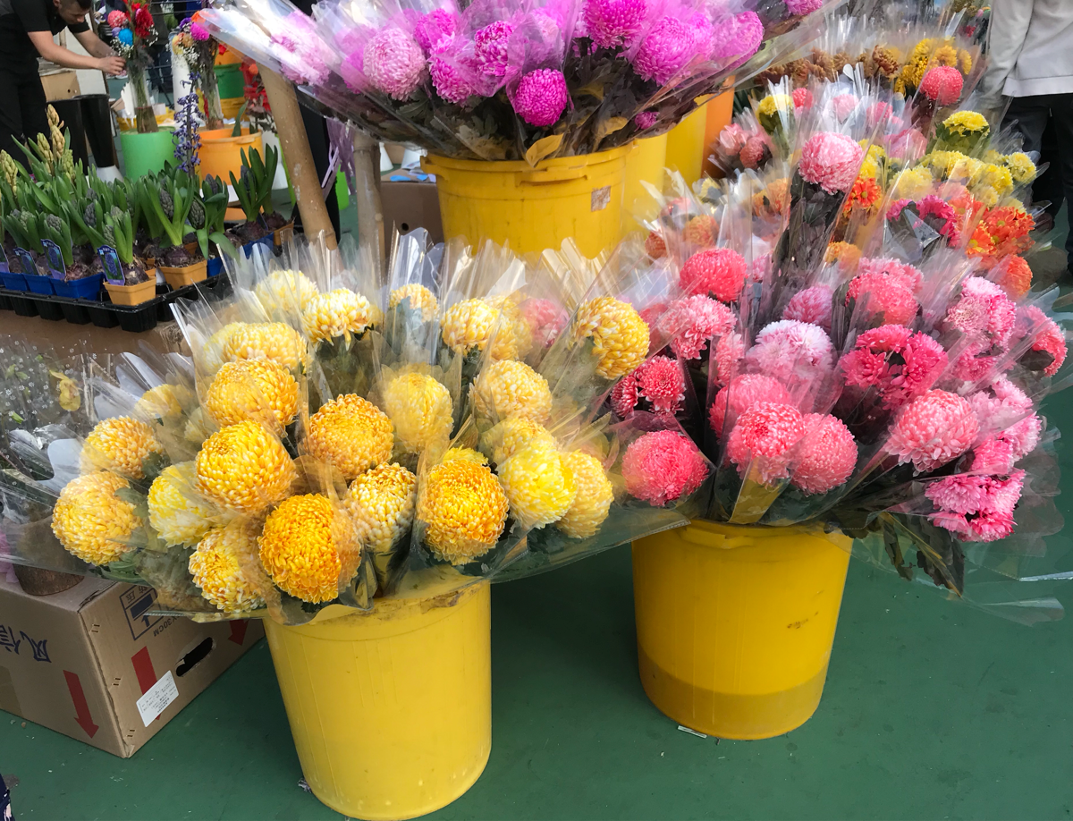 香港の年宵花市に行ってきた～香港人は大晦日に花を買う〜葵青區年宵市場(Kwai Tsing Lunar New Year Fair)@葵涌運動場