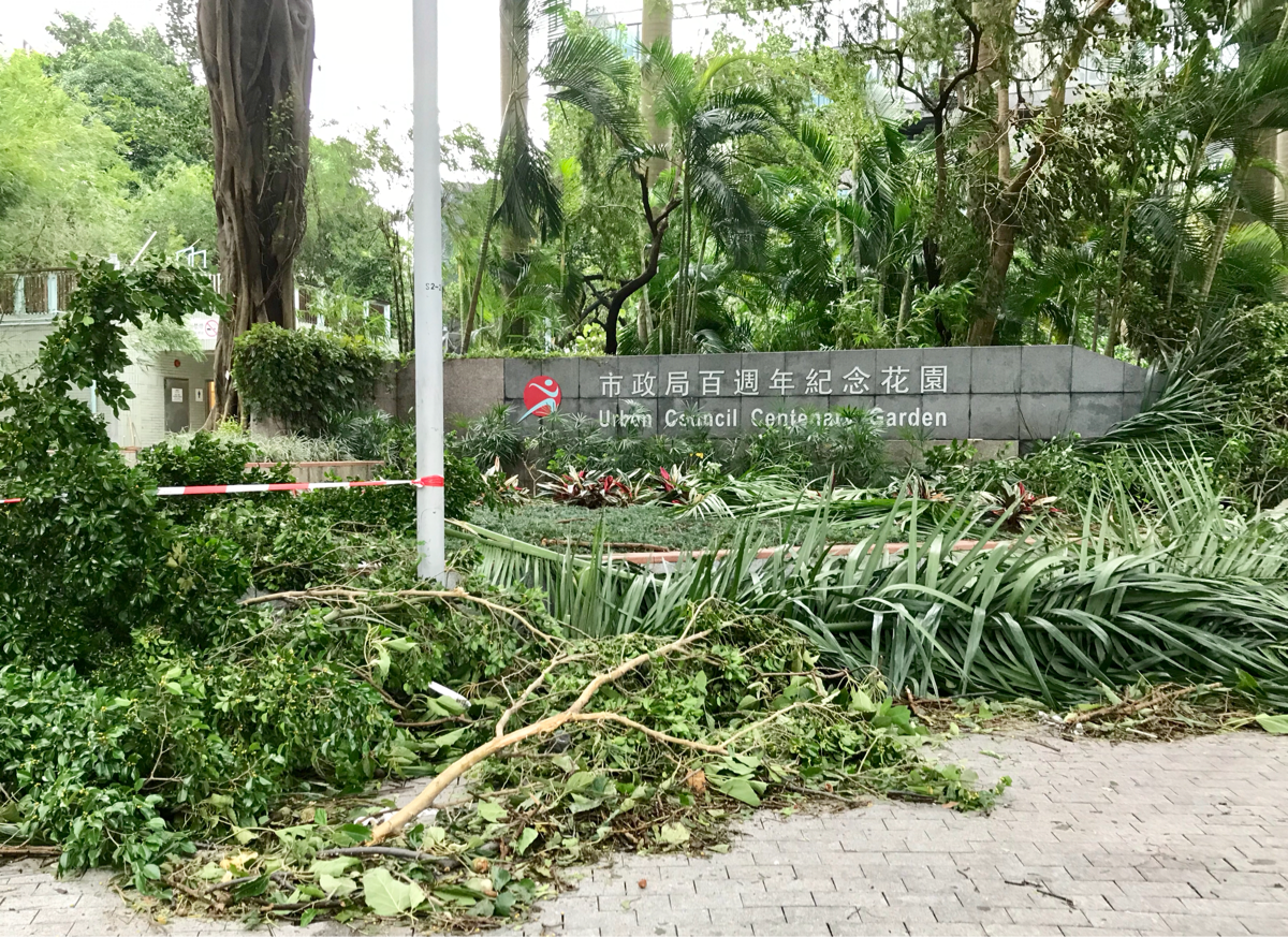 台風22号（Mangkhut）が通り過ぎた尖沙咀の「市政局百週年紀念花園」は、沢山の木がなぎ倒されて予想以上にひどい状態だった