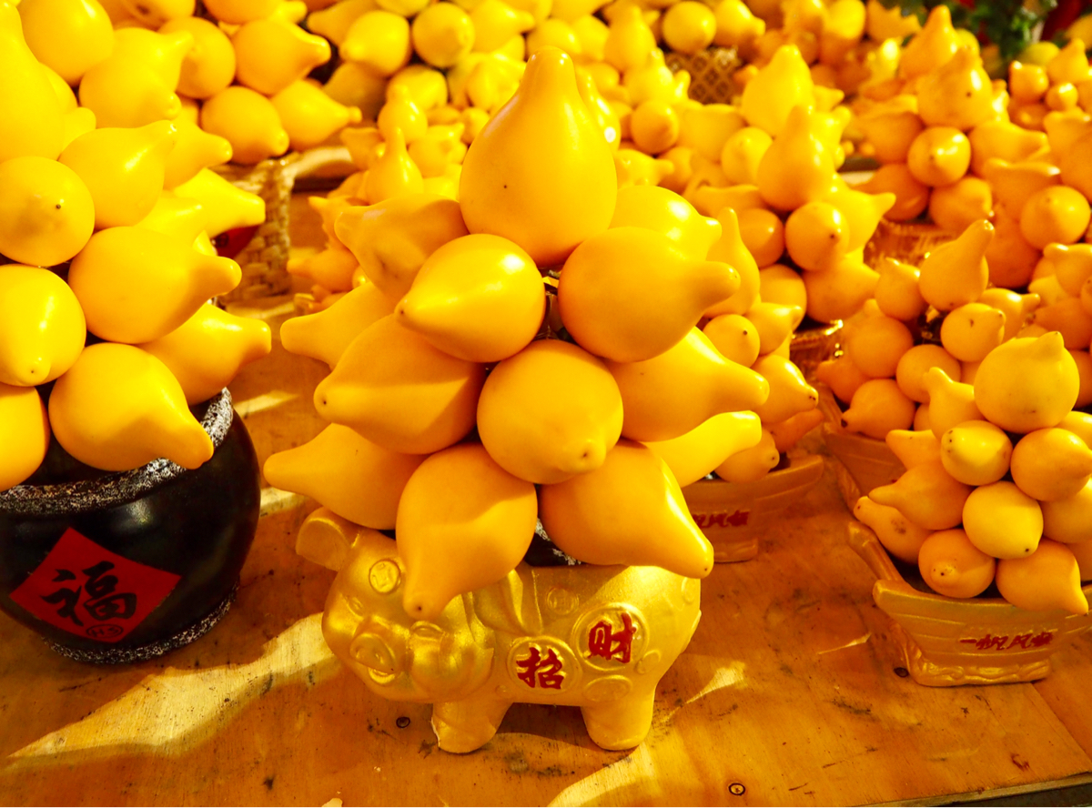 旧正月前に香港で開催される年宵花市で特に気になるのはツノナスと丸い菊 葵涌運動場 まるこの生活 自由気ままに