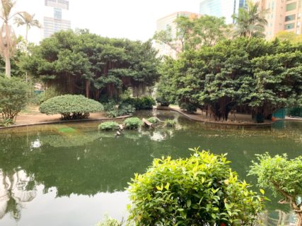 九龍公園のフラミンゴが一羽もいなくなって、池の水が全部抜かれていた