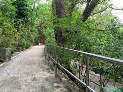 仕事を辞めても九龍公園のお散歩は続けています