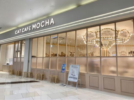 猫カフェCAT CAFE MOCHA @イオンモール幕張新都心は、仕事できるけど普通に猫に邪魔されます