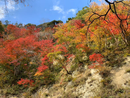 千葉県には観光スポットが色々あって結構楽しい～梅ヶ瀬渓谷