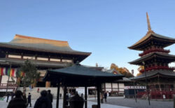 成田山新勝寺に年末詣