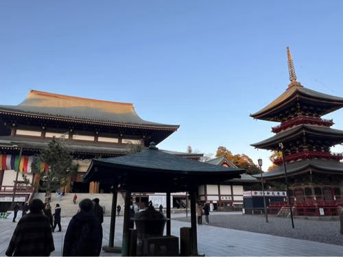 成田山新勝寺に年末詣